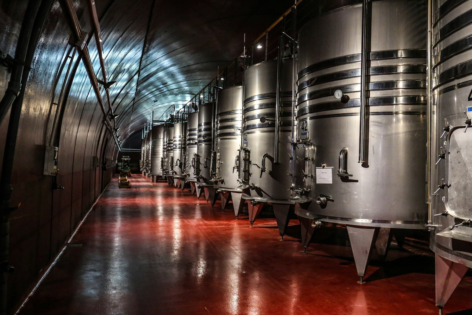 Rows of grapevines in the Colchagua valley